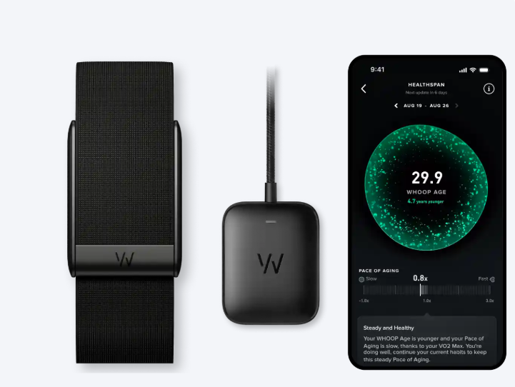Dispositivos tecnológicos de fitness - Correa Whoop 4.0